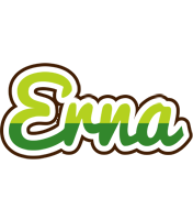 Erna golfing logo