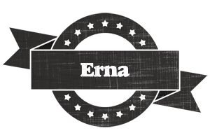 Erna grunge logo