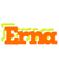 Erna healthy logo