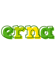 Erna juice logo