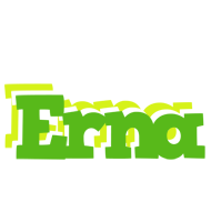 Erna picnic logo