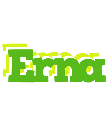 Erna picnic logo