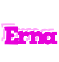 Erna rumba logo