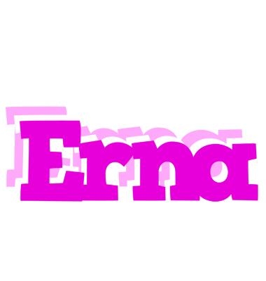 Erna rumba logo