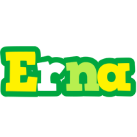 Erna soccer logo