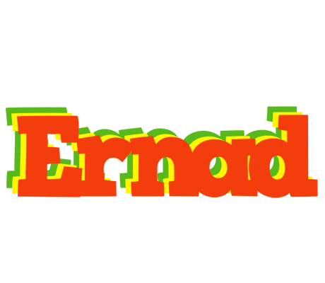 Ernad bbq logo