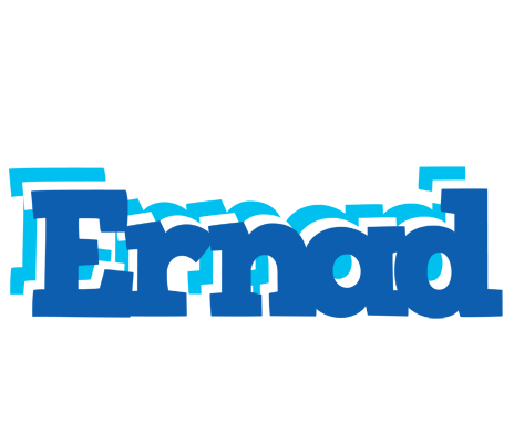 Ernad business logo
