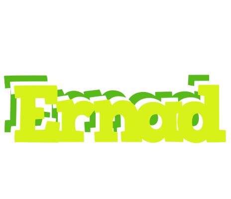 Ernad citrus logo