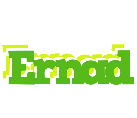 Ernad picnic logo