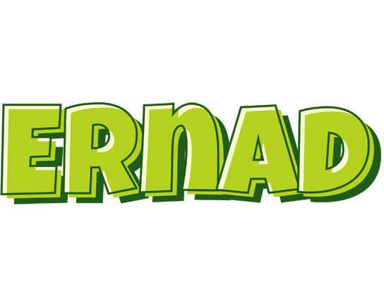 Ernad summer logo