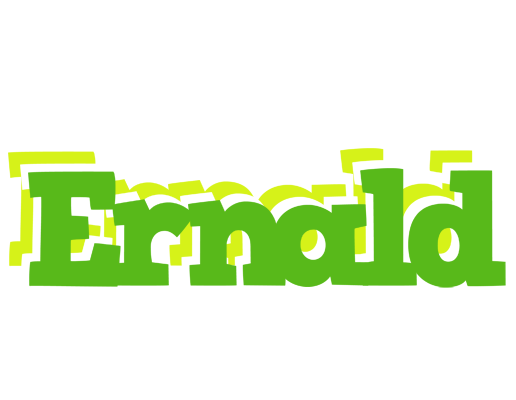 Ernald picnic logo