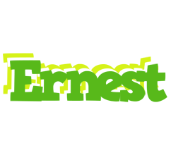 Ernest picnic logo