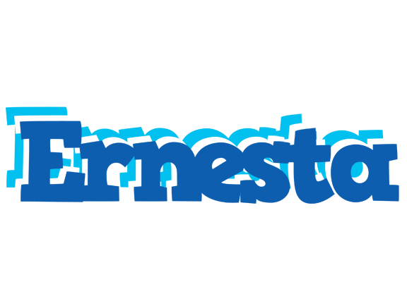 Ernesta business logo