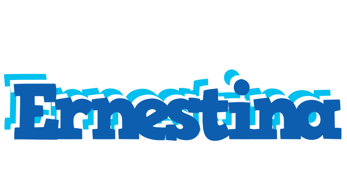 Ernestina business logo