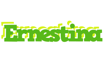 Ernestina picnic logo