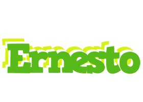 Ernesto picnic logo