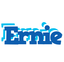 Ernie business logo