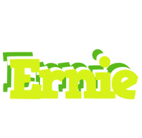 Ernie citrus logo