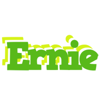 Ernie picnic logo