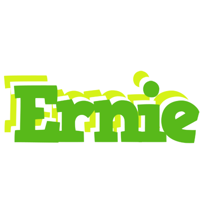 Ernie picnic logo