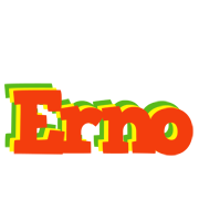 Erno bbq logo