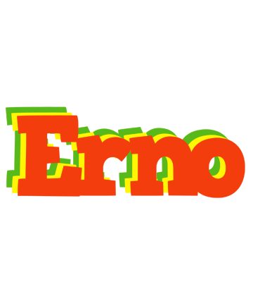 Erno bbq logo