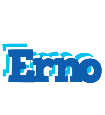Erno business logo
