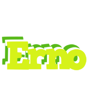 Erno citrus logo