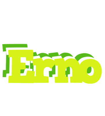 Erno citrus logo