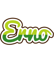 Erno golfing logo