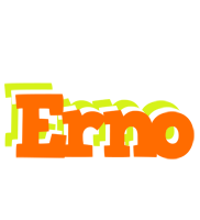 Erno healthy logo