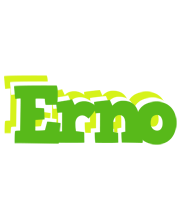 Erno picnic logo