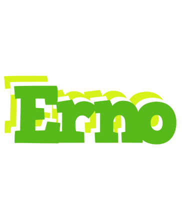 Erno picnic logo
