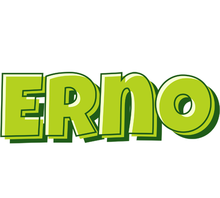 Erno summer logo