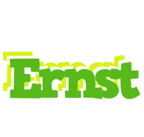 Ernst picnic logo