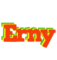 Erny bbq logo