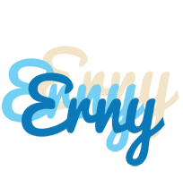 Erny breeze logo