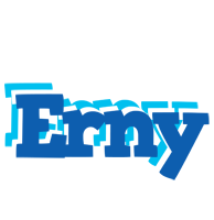 Erny business logo