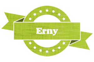 Erny change logo