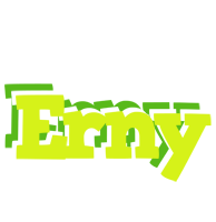 Erny citrus logo