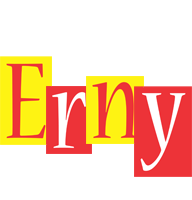 Erny errors logo