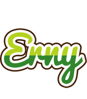 Erny golfing logo