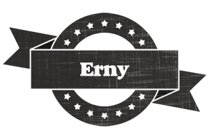 Erny grunge logo