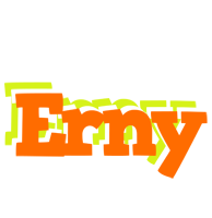 Erny healthy logo