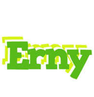 Erny picnic logo