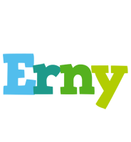 Erny rainbows logo