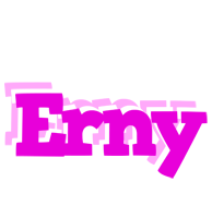 Erny rumba logo