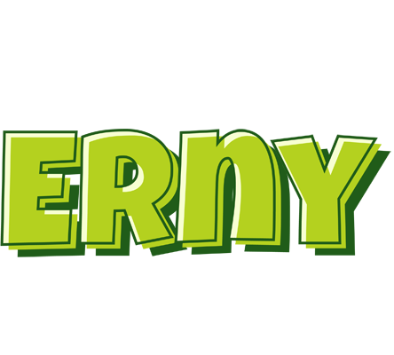 Erny summer logo