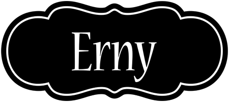 Erny welcome logo