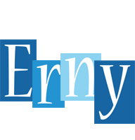 Erny winter logo